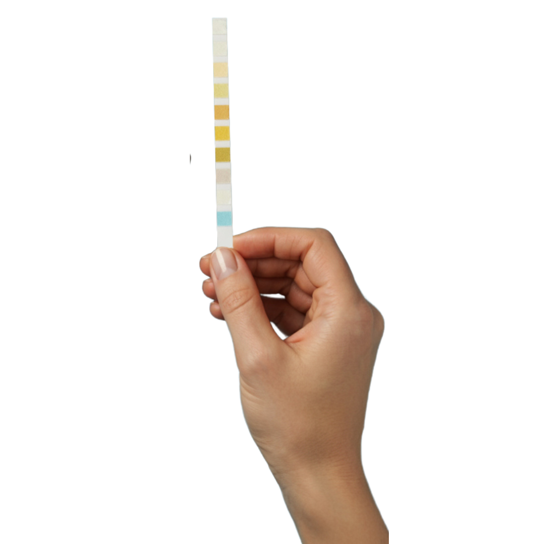 A Ribbon Checkup urine dipstick strip