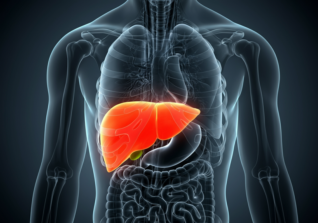 Acute Liver Failure Criteria: How Doctors Diagnose and What You Should Know