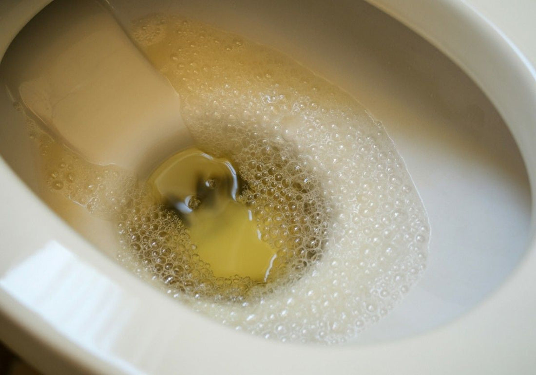 Diabetes, Foamy Urine, and Nephropathy: What’s the Link?