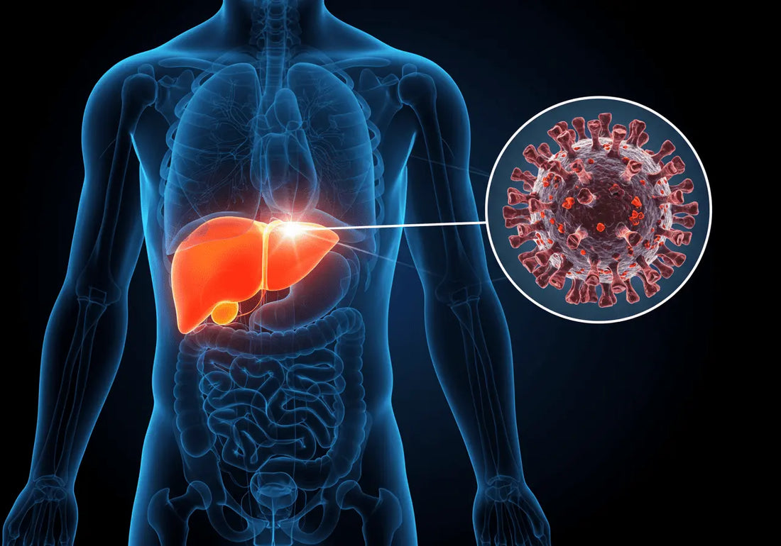Hepatitis C Self-Care: How to Support Your Liver and Reclaim Your Energy
