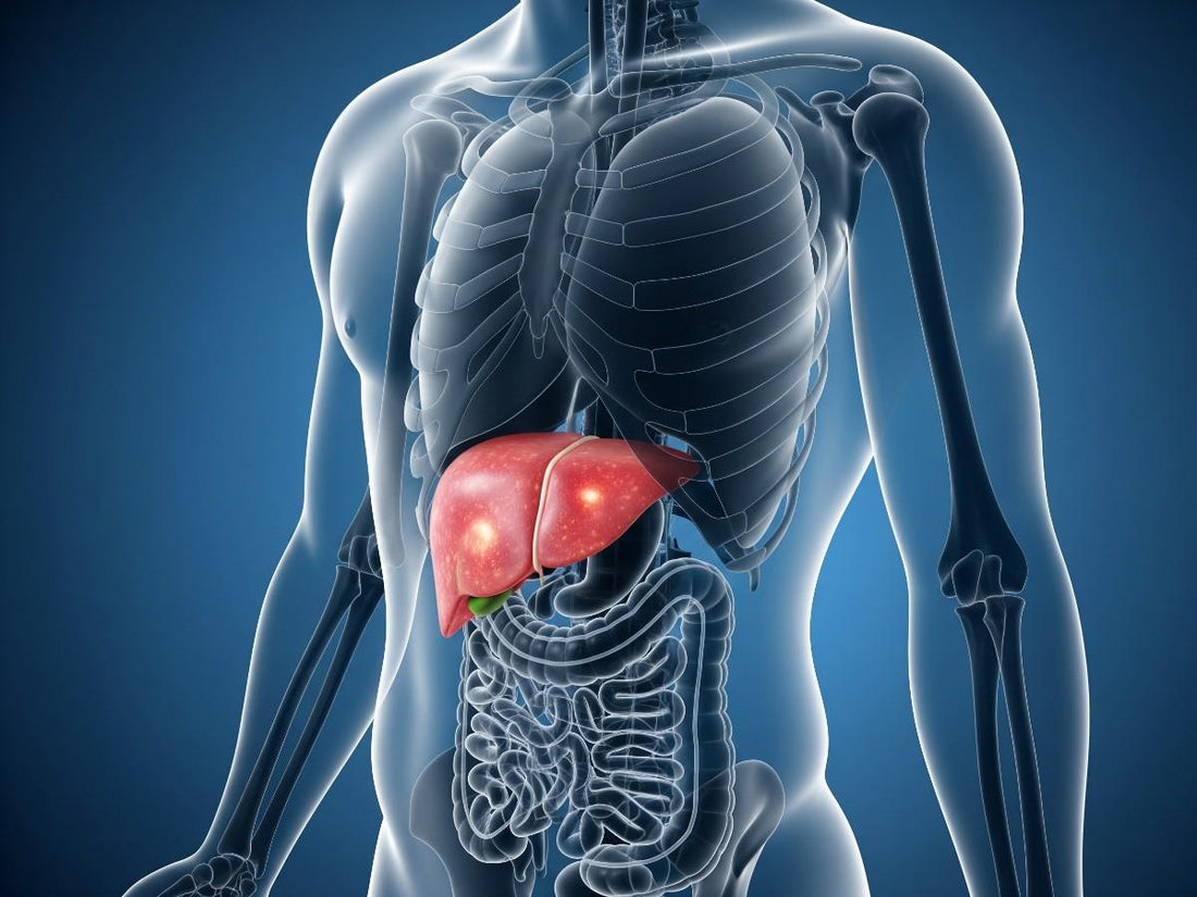 Doctor-Approved Tips to Reduce Liver Inflammation Quickly at Home