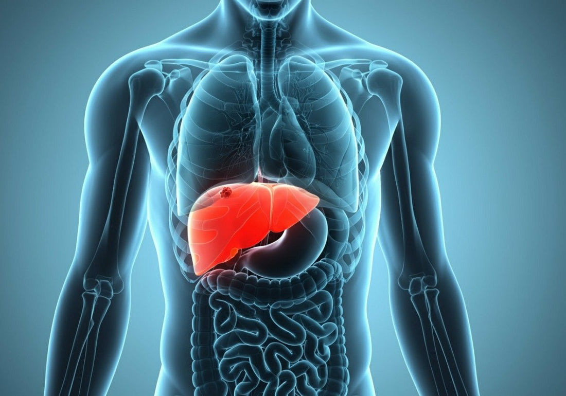 Understanding a Liver Mass: Causes, Types, Diagnosis, and Your Treatment Options