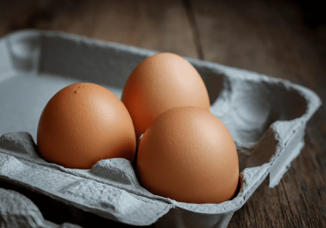 Are Eggs Bad for Your Liver? Let’s Crack the Myth Wide Open
