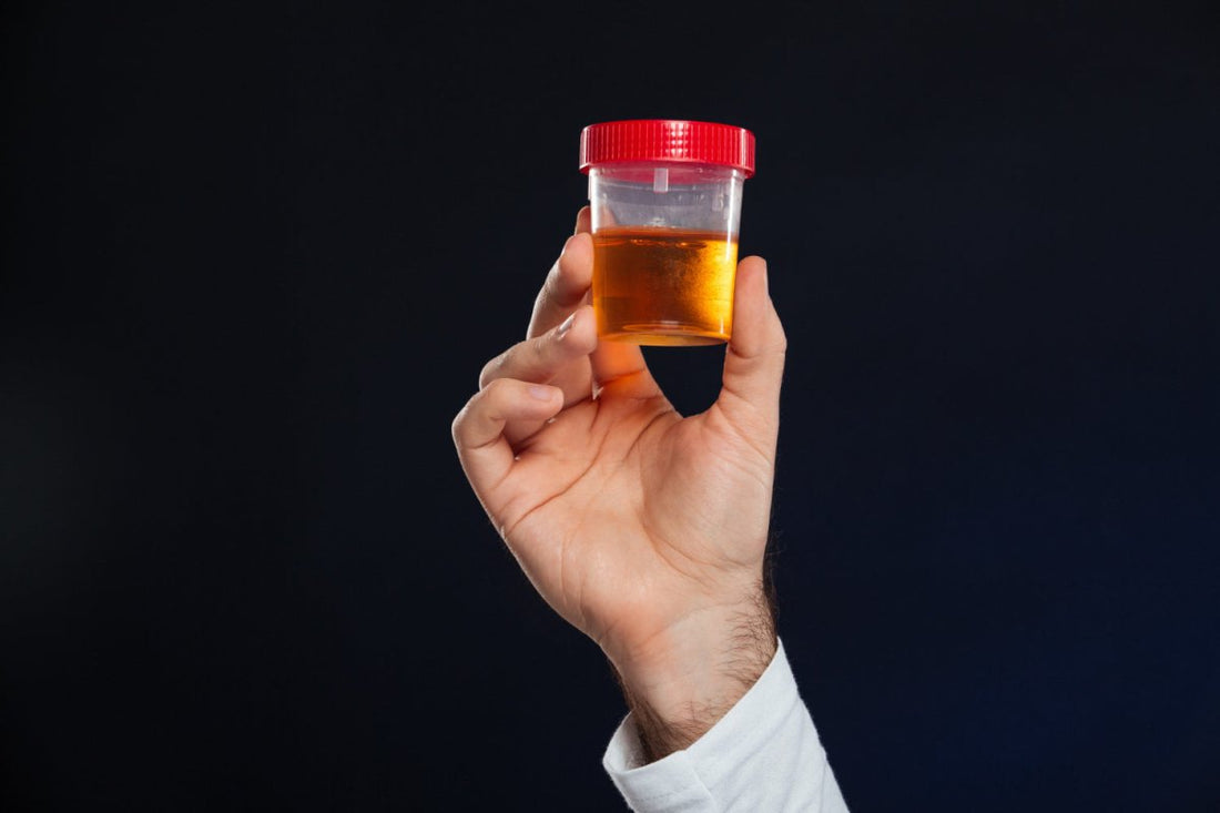 chronic kidney disease symptoms in urine