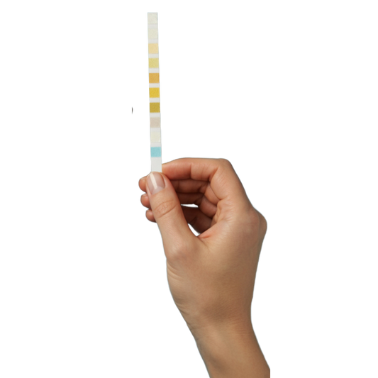 A Ribbon Checkup urine dipstick strip