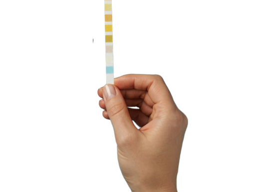 A Ribbon Checkup urine dipstick strip