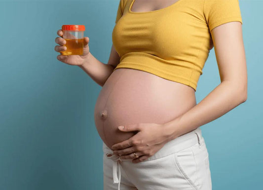 What is the Normal Range of Protein in Urine During Pregnancy?