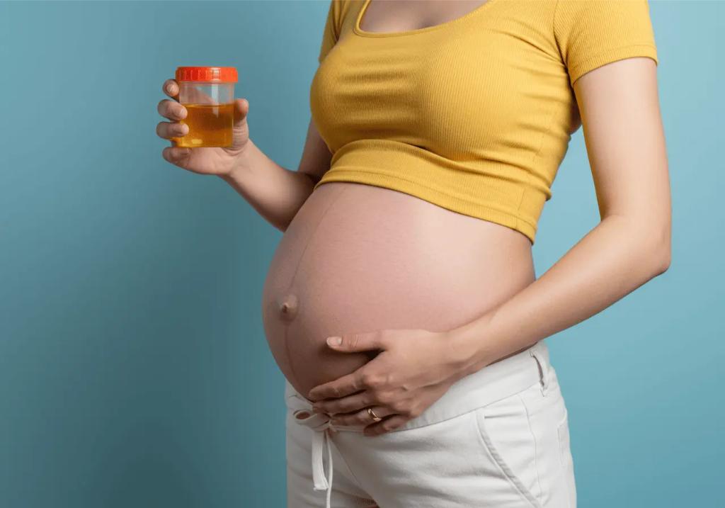 What is the Normal Range of Protein in Urine During Pregnancy?