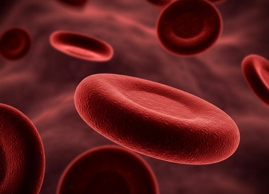 Bronze Diabetes: Understanding This Rare Form of Iron Overload