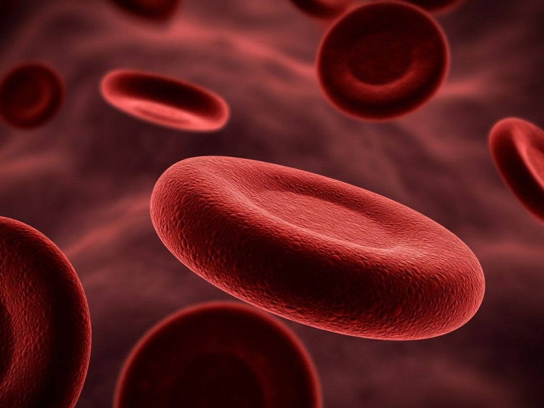 Bronze Diabetes: Understanding This Rare Form of Iron Overload