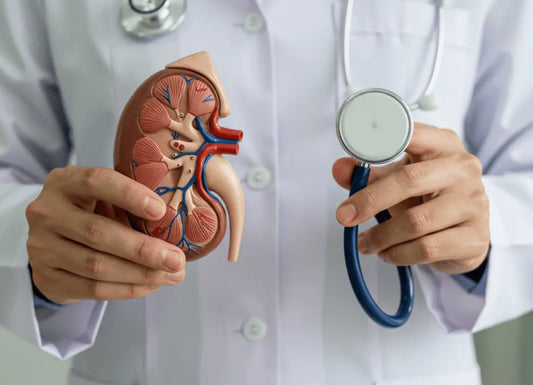 Living with One Kidney: How to Stay Healthy and Protect Your Kidney for Life