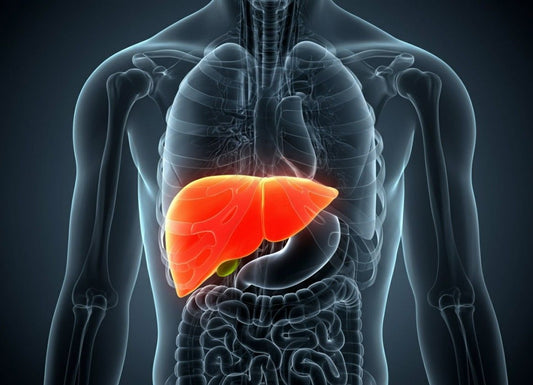 End-Stage Liver Disease: What Are the Final Symptoms to Watch For?