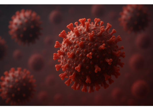 How Long Can Hepatitis B Survive Outside the Body?