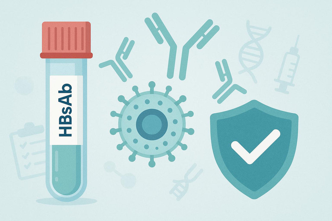 What is Hepatitis B Surface Antibody QL Reactive Meaning? A Deep Dive