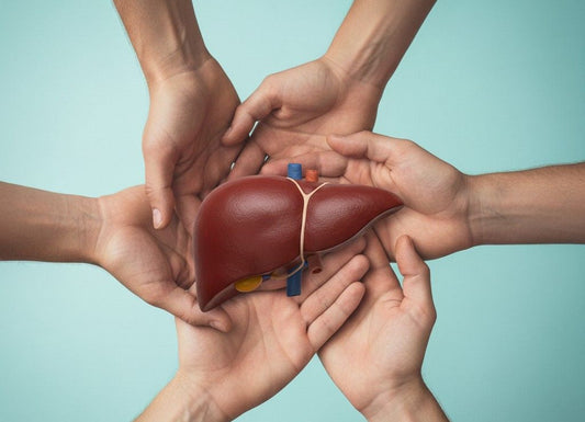 How Many Times Can You Donate Your Liver? Living Donor Limits Explained