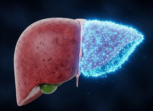 Liver Regeneration Explained: How Many Times Can Your Liver Grow Back?