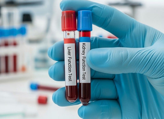 Understanding Liver and Kidney Health: A Simple Guide to Essential Tests