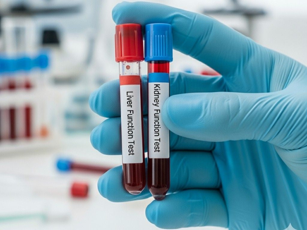Understanding Liver and Kidney Health: A Simple Guide to Essential Tests