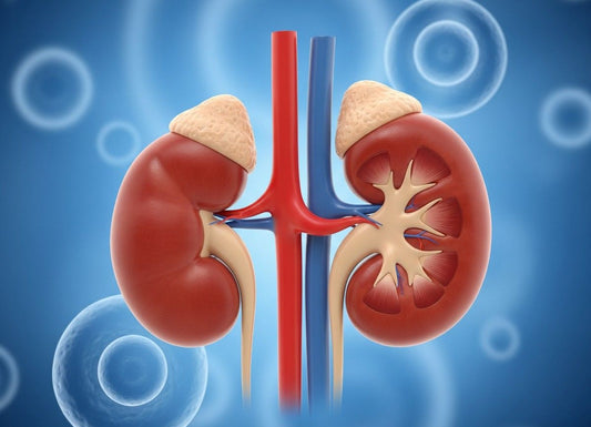 Is Vitamin D3 Good for Kidney Disease?