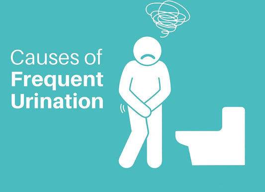 What Causes Frequent Urination? Common Reasons, Symptoms, and When to See a Doctor