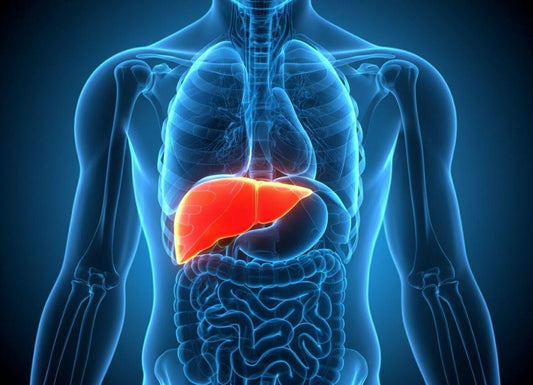 What quadrant is the liver in?