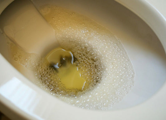 Diabetes, Foamy Urine, and Nephropathy: What’s the Link?