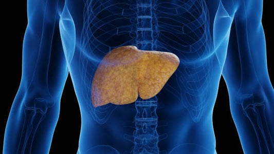 At-Home Liver Tests: A Comprehensive Guide