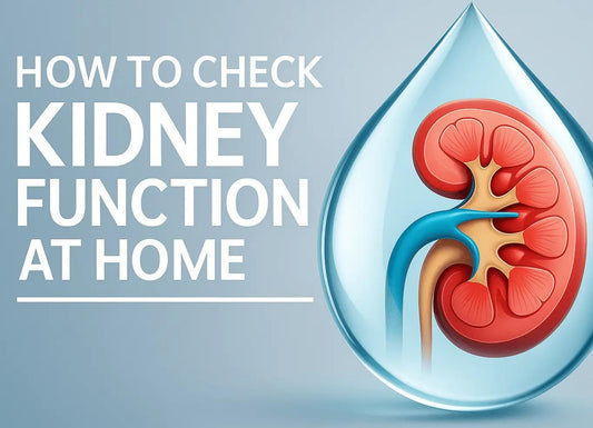 DIY Kidney Health: How to Monitor Kidney Function at Home