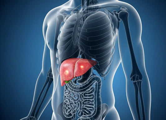 Doctor-Approved Tips to Reduce Liver Inflammation Quickly at Home