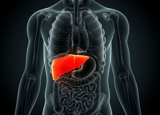 Liver Laceration: What It Means, How It's Treated, and What Recovery Looks Like