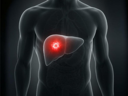 Liver Lesions: Causes, Diagnosis, and Treatment Options