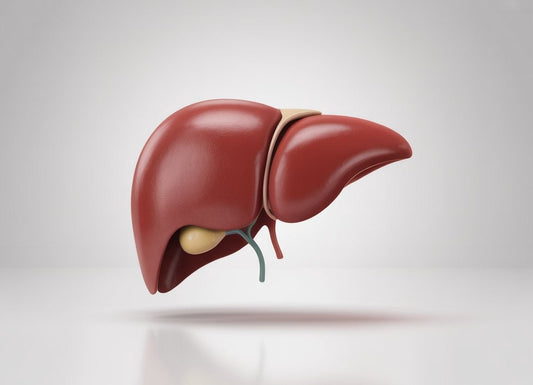 Gallbladder Pain vs. Liver Pain: How to Tell the Difference