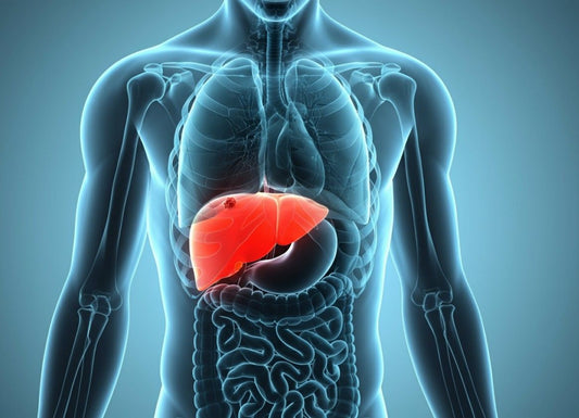 Understanding a Liver Mass: Causes, Types, Diagnosis, and Your Treatment Options