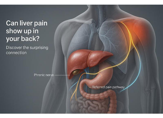 Is Liver Pain in Back Common? The Connection Between The Two