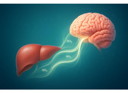 Can Liver Disease Cause Headaches? Knowing The Connection and Safe Liver Disease Headache Treatment