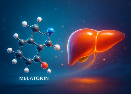Is Melatonin Bad for Your Liver? Its Safety in Liver Function