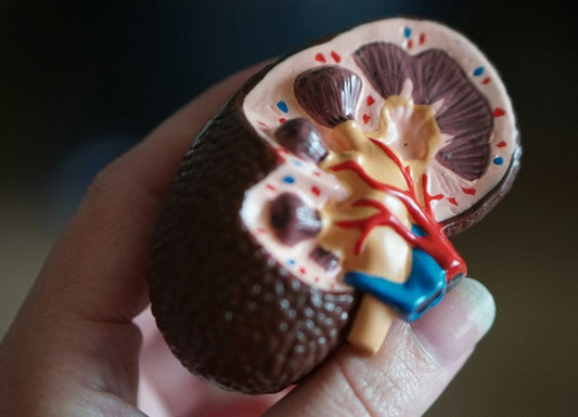 creatinine levels