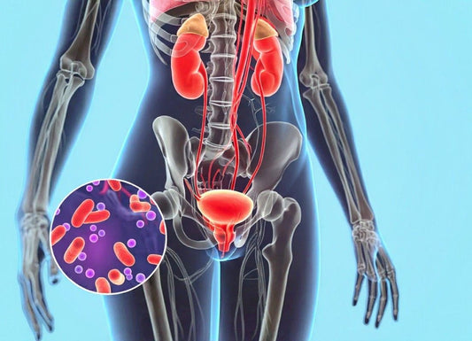 Fungal UTI vs. Bacterial UTI: What’s the Difference?
